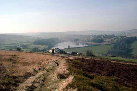 Rosebud Cottage Guest House Haworth Dış mekan fotoğraf